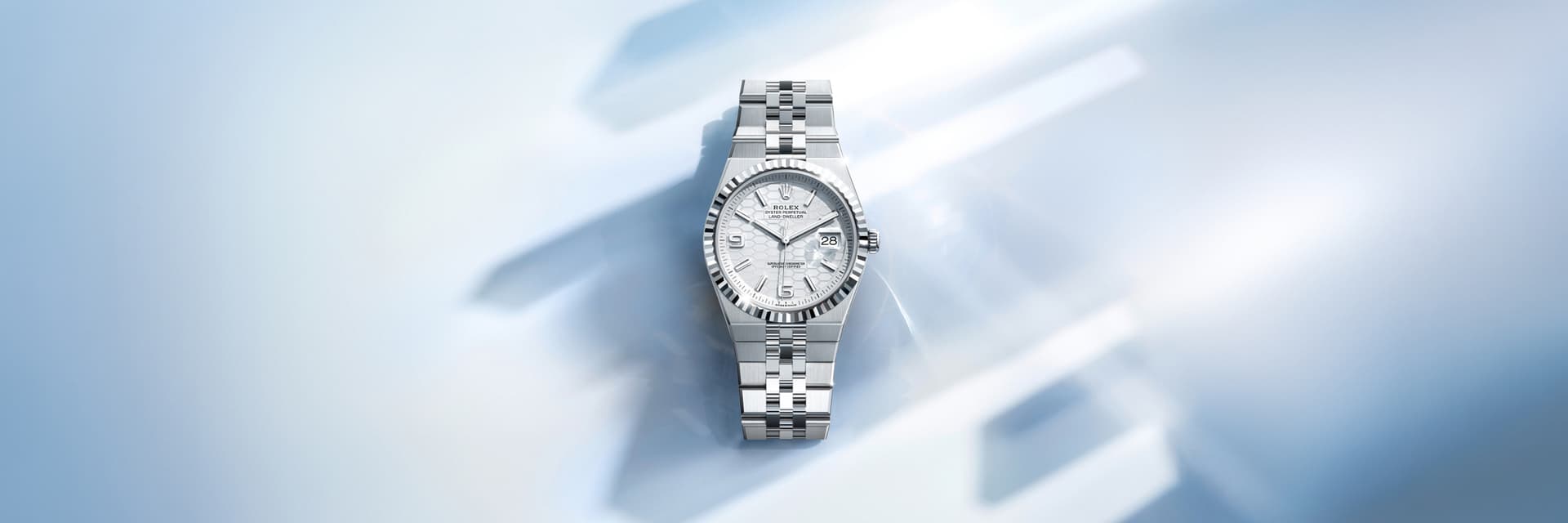 rolex Land-Dweller en Platino, M127336-0001 en Eurochronos rolex Land-Dweller en Platino, M127336-0001 en Eurochronos