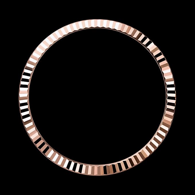rolex Datejust en Rolesor Everose —combinación de acero Oystersteel y oro Everose, M126231-0020 en Eurochronos rolex Datejust en Rolesor Everose —combinación de acero Oystersteel y oro Everose, M126231-0020 en Eurochronos