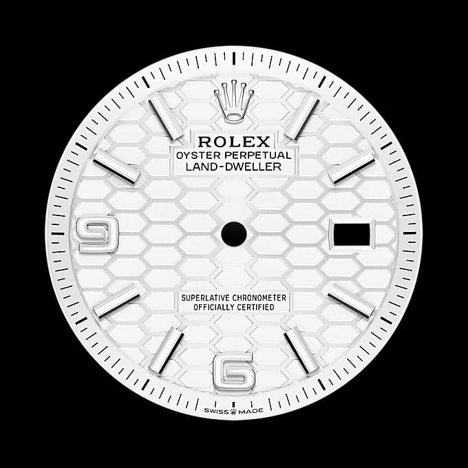 rolex Land-Dweller en Rolesor blanco —combinación de acero Oystersteel y oro blanco, M127234-0001 en Eurochronos rolex Land-Dweller en Rolesor blanco —combinación de acero Oystersteel y oro blanco, M127234-0001 en Eurochronos