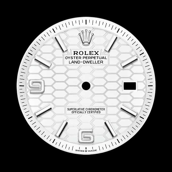 rolex Land-Dweller en Rolesor blanco —combinación de acero Oystersteel y oro blanco, M127334-0001 en Eurochronos rolex Land-Dweller en Rolesor blanco —combinación de acero Oystersteel y oro blanco, M127334-0001 en Eurochronos
