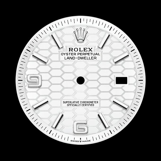 rolex Land-Dweller en Rolesor blanco —combinación de acero Oystersteel y oro blanco, M127334-0001 en Eurochronos rolex Land-Dweller en Rolesor blanco —combinación de acero Oystersteel y oro blanco, M127334-0001 en Eurochronos