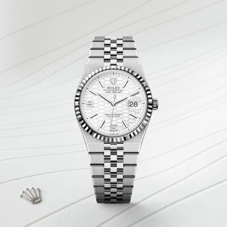 rolex Land-Dweller en Rolesor blanco —combinación de acero Oystersteel y oro blanco, M127234-0001 en Eurochronos rolex Land-Dweller en Rolesor blanco —combinación de acero Oystersteel y oro blanco, M127234-0001 en Eurochronos